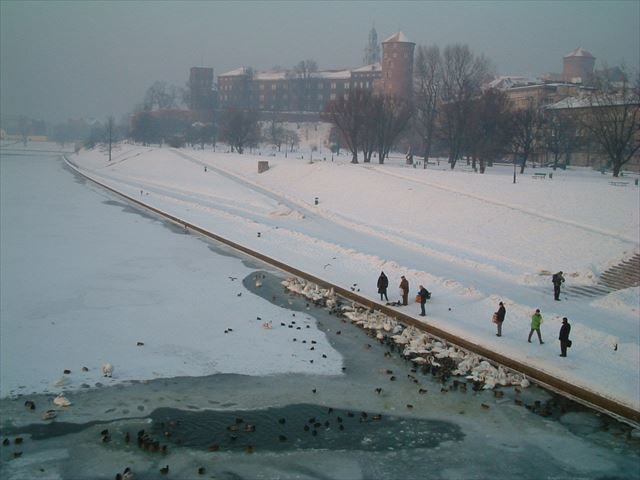 川が凍っている！　クラクフ城