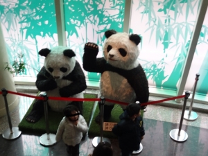 台北動物園のパンダ３