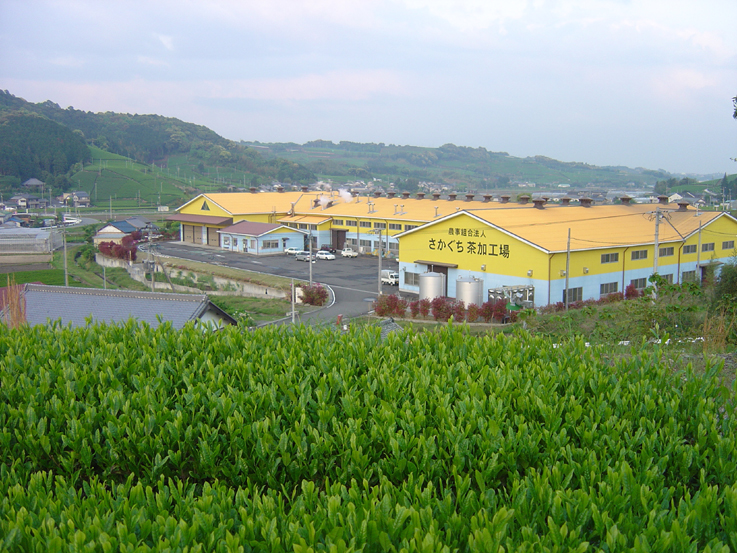 富士山静岡空港御近所　オレンジ屋根の茶工場です。