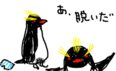 penguin07