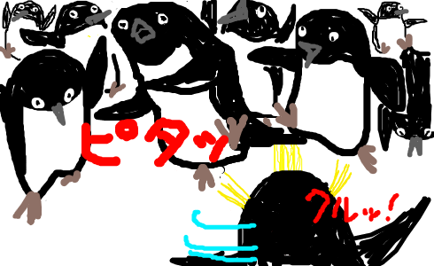 penguin13