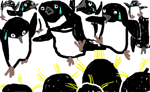 penguin14