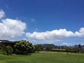 Waikiki view