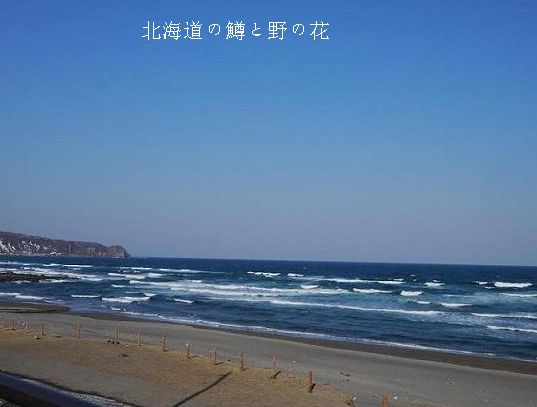 2014-4-1野塚海岸