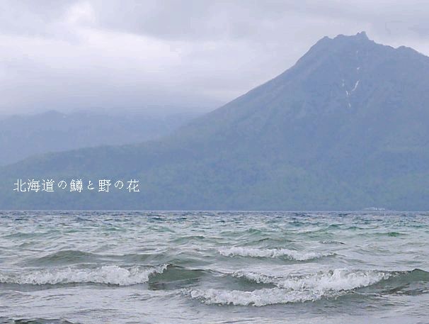 2014-5-17支笏湖